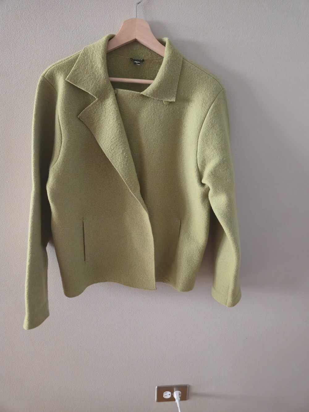 Eileen Fisher Boiled Wool Jacket Snap Button Womens Medium Green Minimalist